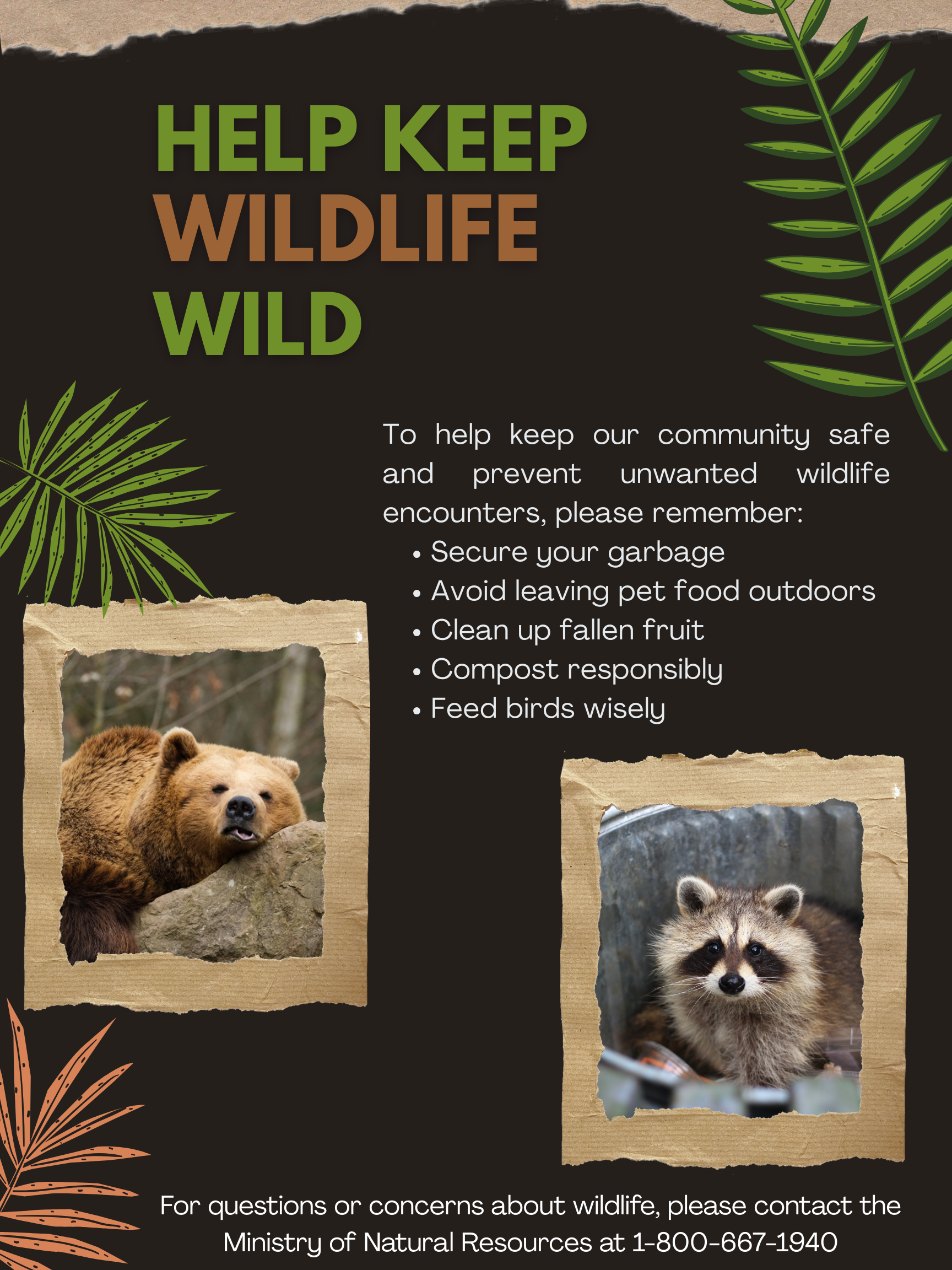 Fall Reminder: Help Keep Wildlife Wild!